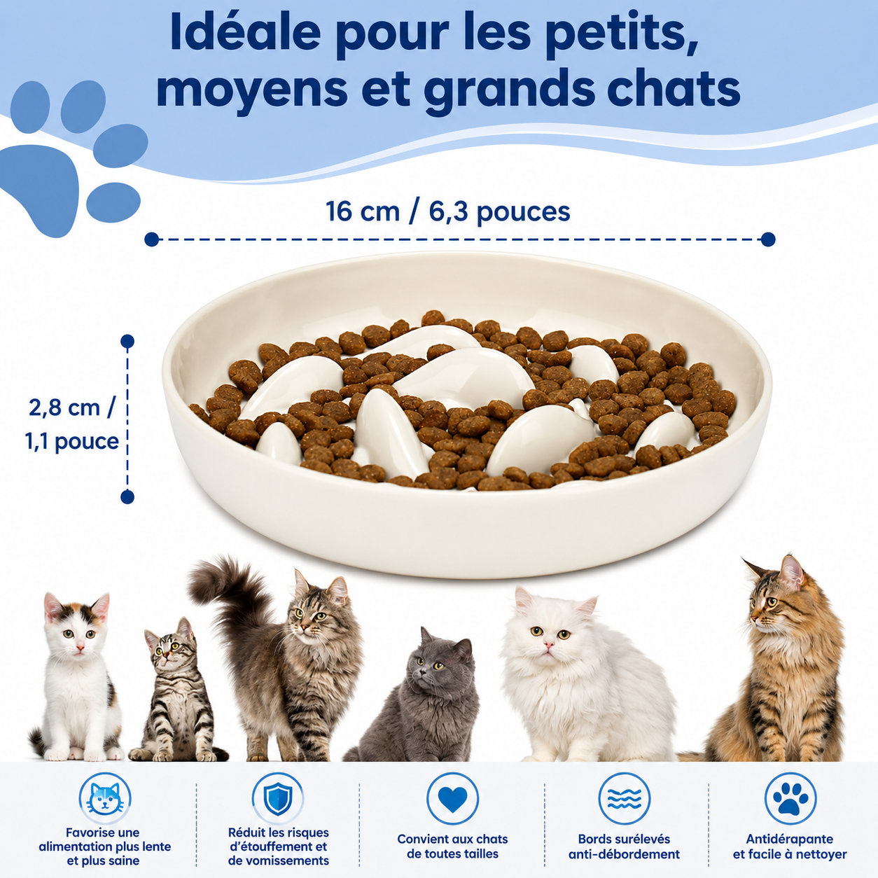🐱 Gamelle Anti-Glouton Baleine pour Chat

Offrez à votre compagnon une façon plus saine de prendre ses repas grâce à cette gamelle anti-glouton en forme de baleine. Conçue pour ralentir naturellement la vitesse d’alimentation, elle favorise une meilleure